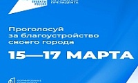 С 15 марта стартует голосование за благоустройство общественных территорий в Норильске
