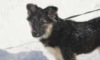 Доброе дело по зову сердца